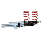 Eibach PSS65/20/013/01 5 Coilover Kit for Pro Street - S