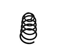 front coil spring OE Replacement R10132 for Volkswagen Golf spare part 1J0411105