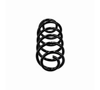 Suspension spring Rear Axle Coil spring with constant wire diameter R10535