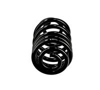 Suspension spring Rear Axle Coil spring with constant wire diameter R10650