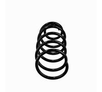 front coil spring OE Replacement R10987 for VW Bora I, Bora Variant, Golf III Va