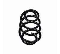 Suspension spring Rear Axle Coil spring with constant wire diameter R21262