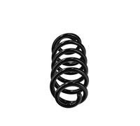 EIBACH R22975 Coil spring