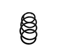 front coil spring OE Replacement R23010 for Volkswagen TAIGO spare part 2Q041110