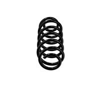 Suspension spring Rear Axle Coil spring with constant wire diameter R23021