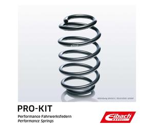 Eibach Single Spring Pro-Kit Suspension Spring Rear Axle for BMW 1 Sports Hatch