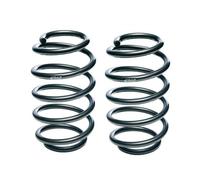 EIBACH E10-22-001-01-20 Suspension kit, coil springs