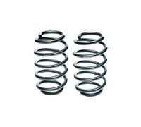 EIBACH E20-70-001-01-20 Suspension kit, coil springs