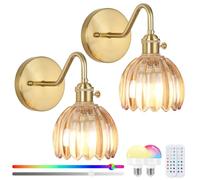 EIDEARAY Battery Operated Wall Lights,Rechargeable Wall Lights with RGB Dimmable Remote Control,Rechargeable Gold Wall Light,Amber Tulip Glass Lampshade for Living Room Bedroom Hallway 2-Pack