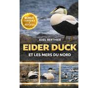 Eider duck et les mers du Nord