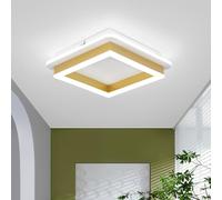 EIDISUNY LED Ceiling Light, 24W Square Gold Modern Ceiling Lights Fixture LED for Indoor Bedroom Hallway Office Kitchen Living Room Dining Room Aisle Corridor Porch Stairs, Cool White Light 6000K.