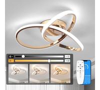 EIDISUNY Led Ceiling Light Dimmable, Modern Lamp with Remote Control, Minimalist Lights for Bedroom, Kitchen, Living Room, Office, Hallway - 42W, Rose Gold, 40cm, 3000K-6000K