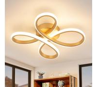 EIDISUNY Modern LED Ceiling Light, 30W Gold Ceiling Lights Fixture, Modern Ceiling Lights LED for Living Room Bedroom Corridor Aisle Hallway Balcony Garages Indoor Ceiling Lamp (Warm Light 3000K)