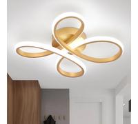 EIDISUNY Modern LED Ceiling Light, 30W Gold LED Ceiling Light Fixture, Modern Lights for Living Room Bedroom Corridor Aisle Hallway Indoor Lamp - Cool White Light 6000K