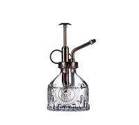 Eidoct Glass Plant Mister Spray Bottle, 6.5" Gray Glass Water Spray Bottle with Bronze Top Pump Small Watering Can, Small Plant Sprayer Mister (Gray+Bronze D)