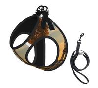 Eiffel Tower Paris Autumn Print Small Dog Harness with Leash Set, No Escape Easy Walk Puppy Harnesses for Training Walking