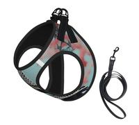 Eiffel Tower Print Step in Dog Harness and Leash Set,Adjustable Reflective Harness for Small Dogs Cats