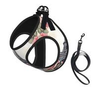 Eiffel Tower Rose Flower Print Step in Dog Harness and Leash Set,Adjustable Reflective Harness for Small Dogs Cats