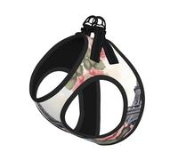 Eiffel Tower Rose Flower Print Step in Dog Harness and Leash Set,Adjustable Reflective Harness for Small Dogs Cats
