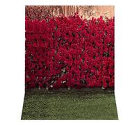 Eighosee Multifunctional Flower Wall 210X150cm Photography Backdrop Rose Wedding Party Decoration 3D Photography Backdrops H5