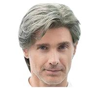 Eighosee Synthetic Wigs Man Wigs with Bangs Heat Glueless Synthetic Wigs for Man Short Wigs Cosplay Wigs Wig Daily Use