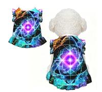 Eight Dimensional Space Pet Dress for Small Medium Dogs