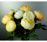 Eight Stems of Artificial Silk Cream, Yellow and Apricot Peonies by CB Imports