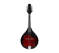 Eight String Electric Mandolin Guitar Set For Beginners And Adults Mandolin Kits(Red)