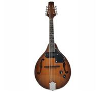 Eight String Mandolin Guitar Instrument Electric Performance Acoustic Mandolin Instrument(2)
