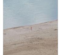 Eight Waves in Search of an Ocean