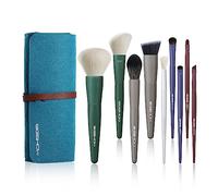 EIGSHOW 9 Pcs Makeup Brush Set, Travle Makeup Brushes Premium Synthetic Foundation Powder Concealers Eye Shadows Makeup Brush Set, 5 Colors with Pouch, Cute & Portable