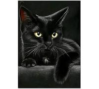 Eiialerm Cross-Stitch Kits Animal Black cat 11CT Printed Beginners Cross Stitch Kit Stamped Embroidery Kits for Adults Wall Art Home Decoration -12x16 Inch