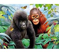 Eiialerm Cross-Stitch Kits Animal Monkey 11CT Printed Beginners Cross Stitch Kits,Stamped Embroidery Kits for Adults Wall Art Home Decoration -16x20 Inch