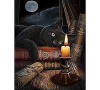 Eiialerm Cross-Stitch Kits Animal Witch Black cat 11CT Printed Beginners Cross Stitch Kits,Stamped Embroidery Kits for Adults Wall Art Home Decoration -16x20 Inch