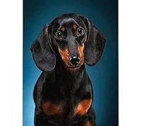 Eiialerm Cross-Stitch Kits Black Dachshund 11CT Printed Beginners Cross Stitch Kit Stamped Embroidery Kits for Adults Wall Art Home Decoration -16x20 Inch
