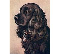 Eiialerm Cross-Stitch Kits Black English Cocker Spaniel 11CT Printed Beginners Cross Stitch Kits,Stamped Embroidery Kits for Adults Wall Art Home Decoration -16x20 Inch