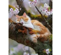 Eiialerm Cross Stitch Kits for Adults Cherry Blossom Cat 11CT Pre-Printed Pattern Stamped Cross-Stitching Embroidery Kit Needlework gifts-16x20 inch