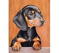 Eiialerm Cross Stitch Kits for Adults Dachshund 11CT Pre-Printed Pattern Stamped Cross-Stitching Embroidery Kit Needlework gifts-16x20 inch