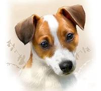 Eiialerm Cross Stitch Kits for Adults Jack Russell Terrier 11CT Pre-Printed Pattern Stamped Cross-Stitching Embroidery Kit Needlework gifts-16x20 inch