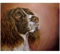 Eiialerm Cross Stitch Kits for Adults Springer Spaniel 11CT Pre-Printed Pattern Stamped Cross-Stitching Embroidery Kit Needlework gifts-16x20 inch