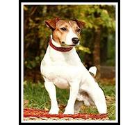 Eiialerm Cross-Stitch Kits Jack Russell Terrier Dog 11CT Printed Beginners Cross Stitch Kits,Stamped Embroidery Kits for Adults Wall Art Home Decoration -16x20 Inch