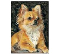 Eiialerm Cross-Stitch Kits Long haired Chihuahua 11CT Printed Beginners Cross Stitch Kit Stamped Embroidery Kits for Adults Wall Art Home Decoration -16x20 Inch