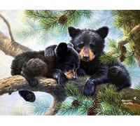 Eiialerm Stamped Cross-Stitch Kits Bear Black Bear Brown Bear 11CT Beginner Cross Stitch Pre-Printed Pattern Embroidery DIY Children's Adult Home Decoration 16x20 Inch