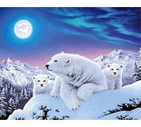 Eiialerm Stamped Cross-Stitch Kits Brown Bear Polar Bear 11CT Beginner Cross Stitch Pre-Printed Pattern Embroidery DIY Children's Adult Home Decoration 16x20 Inch