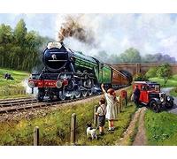 Eiialerm Stamped Cross Stitch Kits for Adults Steam Train 11CT Cross-Stitch Kit Beginners Embroidery Patterns Art Crafts for Wall Decor -40x50cm