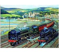 Eiialerm Stamped Cross Stitch Kits for Adults Steam Train 11CT Cross-Stitch Kit Beginners Embroidery Patterns Art Crafts for Wall Decor -40x50cm
