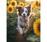 Eiialerm Stamped Cross Stitch Kits for Adults Sunflower Animal Dog 11CT Cross-Stitch Kit Beginners Embroidery Patterns Art Crafts for Wall Decor -40x50cm