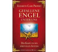 Eilzabeth Clare Gefallene Engel unter uns. Der Kampf um den spiritue (Paperback)