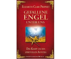 Eilzabeth Clare Gefallene Engel unter uns. Der Kampf um den spiritue (Paperback)