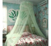 Eimilaly Lace Bed Canopy Mosquito Netting, Princess Bed Canopy for Girls Room Decor, Green/Single Door